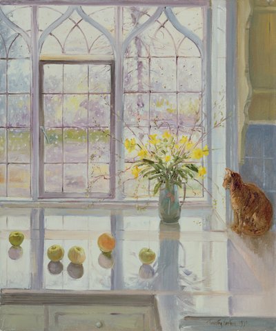 Rain Watching by Timothy Easton